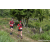 Team 323 / Raid Amazones Sri Lanka 2023 - J1 Trail