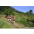 Team 315 / Raid Amazones Sri Lanka 2023 - J1 Trail