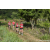 Team 321 / Raid Amazones Sri Lanka 2023 - J1 Trail