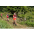 Team 27 / Raid Amazones Sri Lanka 2023 - J1 Trail