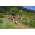 Team 01 / Raid Amazones Sri Lanka 2023 - J1 Trail