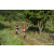 Team 68 / Raid Amazones Sri Lanka 2023 - J1 Trail