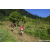 Team 68 / Raid Amazones Sri Lanka 2023 - J1 Trail