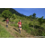 Team 68 / Raid Amazones Sri Lanka 2023 - J1 Trail