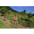 Team 68 / Raid Amazones Sri Lanka 2023 - J1 Trail