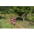 Team 51 / Raid Amazones Sri Lanka 2023 - J1 Trail