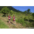 Team 51 / Raid Amazones Sri Lanka 2023 - J1 Trail