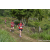 Team 307 / Raid Amazones Sri Lanka 2023 - J1 Trail