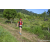 Team 75 / Raid Amazones Sri Lanka 2023 - J1 Trail