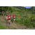 Team 31 / Raid Amazones Sri Lanka 2023 - J1 Trail