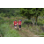 Team 29 / Raid Amazones Sri Lanka 2023 - J1 Trail