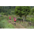 Team 52 / Raid Amazones Sri Lanka 2023 - J1 Trail