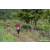 Team 314 / Raid Amazones Sri Lanka 2023 - J1 Trail