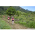 Team 70 / Raid Amazones Sri Lanka 2023 - J1 Trail