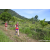 Team 37 / Raid Amazones Sri Lanka 2023 - J1 Trail