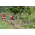 Team 28 / Raid Amazones Sri Lanka 2023 - J1 Trail