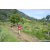 Team 89 / Raid Amazones Sri Lanka 2023 - J1 Trail