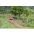 Team 24 / Raid Amazones Sri Lanka 2023 - J1 Trail
