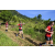 Team 78 / Raid Amazones Sri Lanka 2023 - J1 Trail