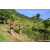 Team 90 / Raid Amazones Sri Lanka 2023 - J1 Trail