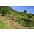 Team 66 / Raid Amazones Sri Lanka 2023 - J1 Trail