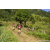 Team 12 / Raid Amazones Sri Lanka 2023 - J1 Trail