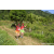 Team 34 / Raid Amazones Sri Lanka 2023 - J1 Trail