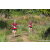 Team 53 / Raid Amazones Sri Lanka 2023 - J1 Trail