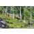 Team 43 / Raid Amazones Sri Lanka 2023 - J1 Trail