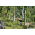 Team 12 / Raid Amazones Sri Lanka 2023 - J1 Trail