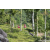 Team 34 / Raid Amazones Sri Lanka 2023 - J1 Trail