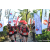Team 12 / Raid Amazones Sri Lanka 2023 - J1 Trail
