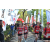 Team 14 / Raid Amazones Sri Lanka 2023 - J1 Trail
