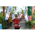 Team 67 / Raid Amazones Sri Lanka 2023 - J1 Trail