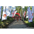 Team 79 / Raid Amazones Sri Lanka 2023 - J1 Trail