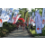 Team 80 / Raid Amazones Sri Lanka 2023 - J1 Trail