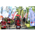 Team 85 / Raid Amazones Sri Lanka 2023 - J1 Trail