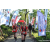 Team 87 / Raid Amazones Sri Lanka 2023 - J1 Trail