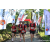 Team 89 / Raid Amazones Sri Lanka 2023 - J1 Trail