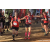 Team 79 / Raid Amazones Sri Lanka 2023 - J1 Trail