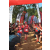 Team 52 / Raid Amazones Sri Lanka 2023 - J1 Trail