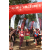 Team 88 / Raid Amazones Sri Lanka 2023 - J1 Trail