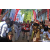 Team 80 / Raid Amazones Sri Lanka 2023 - J1 Trail