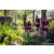 Team 41 / Raid Amazones Sri Lanka 2023 - J1 Trail