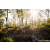 Team 319 / Raid Amazones Sri Lanka 2023 - J1 Trail
