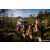 Team 310 / Raid Amazones Sri Lanka 2023 - J1 Trail