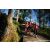 Team 333 / Raid Amazones Sri Lanka 2023 - J1 Trail