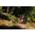 Team 86 / Raid Amazones Sri Lanka 2023 - J1 Trail