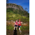 Team 19 / Raid Amazones Sri Lanka 2023 - J1 Trail