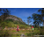 Team 88 / Raid Amazones Sri Lanka 2023 - J1 Trail